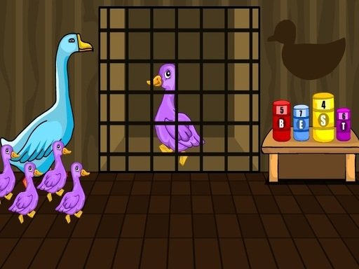 Duck Family Rescue Series Final — Casual